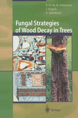 Fungal Strategies of Wood Decay in Trees - Francis W.M.R. Schwarze,Julia Engels,Claus Mattheck - cover