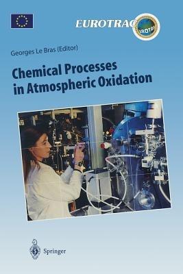 Chemical Processes in Atmospheric Oxidation: Laboratory Studies of Chemistry Related to Tropospheric Ozone - cover