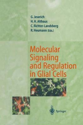 Molecular Signaling and Regulation in Glial Cells: A Key to Remyelination and Functional Repair - cover