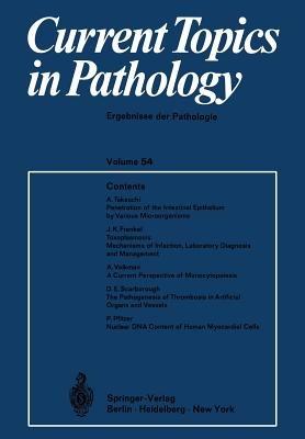 Current Topics in Pathology / Ergebnisse der Pathologie - H.-W. Altmann,K. Benirschke,A. Bohle - cover