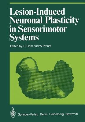 Lesion-Induced Neuronal Plasticity in Sensorimotor Systems - cover