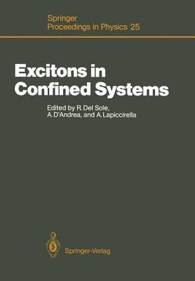 Excitons in Confined Systems: Proceedings of the International Meeting, Rome, Italy, April 13–16, 1987 - cover
