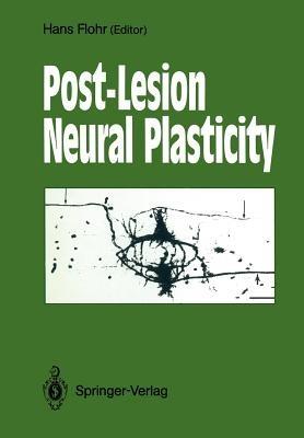 Post-Lesion Neural Plasticity - cover