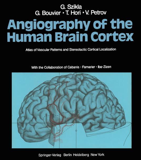 Angiography of the Human Brain Cortex