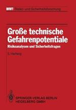 Große technische Gefahrenpotentiale: Risikoanalysen und Sicherheitsfragen