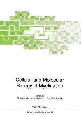 Cellular and Molecular Biology of Myelination - cover