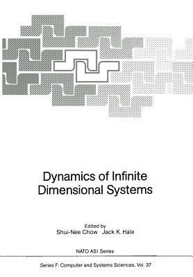 Dynamics of Infinite Dimensional Systems - cover