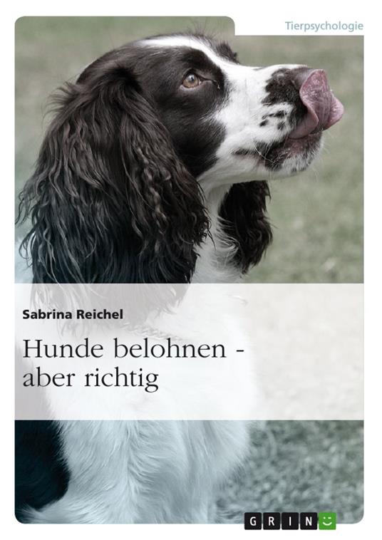 Hunde belohnen – aber richtig