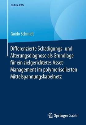 Differenzierte Schädigungs- und Alterungsdiagnose als Grundlage für ein zielgerichtetes Asset-Management im polymerisolierten Mittelspannungskabelnetz - Guido Schmidt - cover