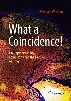 What a Coincidence!: On Unpredictability, Complexity and the Nature of Time - Bernhard Wessling - cover
