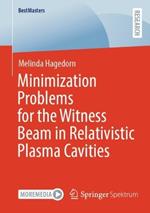 Minimization Problems for the Witness Beam in Relativistic Plasma Cavities