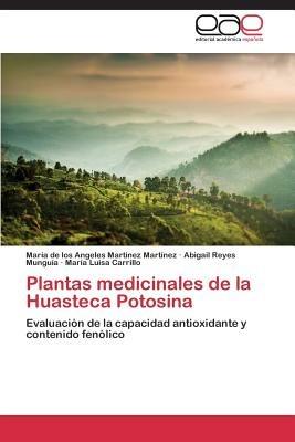 Plantas Medicinales de La Huasteca Potosina - Martinez Martinez Maria de Los Angele,Reyes Munguia Abigail,Carrillo Maria Luisa - cover