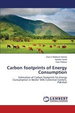 Carbon Footprints of Energy Consumption