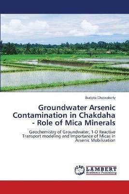 Groundwater Arsenic Contamination in Chakdaha - Role of Mica Minerals - Sudipta Chakraborty - cover