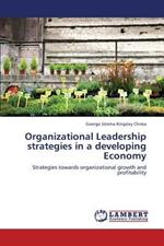 Organizational Leadership Strategies in a Developing Economy