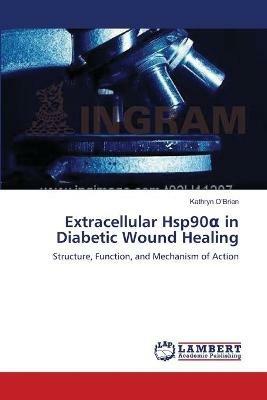 Extracellular Hsp90a in Diabetic Wound Healing - Kathryn O'Brien - cover