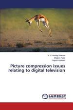 Picture compression issues relating to digital television
