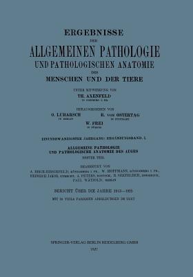 Ergebnisse der Allgemeinen Pathologie und Pathologischen Anatomie des Menschen und der Tiere: Einundzwanzigster Jahrgang: Ergänzungsband. I. Allgemeine Pathologie und Pathologische Anatomie des Auges - Th. Axenfeld,Arthur Birch-Hirschfeld,W. Hoffmann - cover