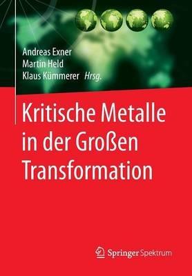 Kritische Metalle in der Großen Transformation - cover