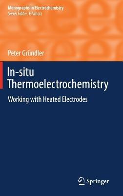 In-situ Thermoelectrochemistry: Working with Heated Electrodes - Peter Gründler - cover
