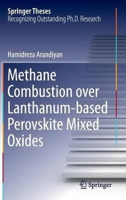 Methane Combustion over Lanthanum-based Perovskite Mixed Oxides - Hamidreza Arandiyan - cover