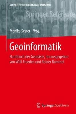 Geoinformatik: Handbuch der Geodäsie, herausgegeben von Willi Freeden und Reiner Rummel - cover
