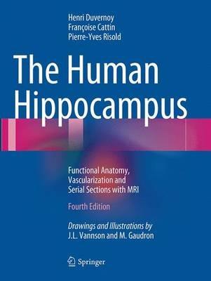 The Human Hippocampus: Functional Anatomy, Vascularization and Serial Sections with MRI - Henri M. Duvernoy,Francoise Cattin,Pierre-Yves Risold - cover