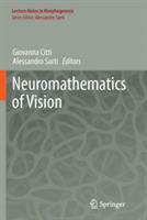 Neuromathematics of Vision
