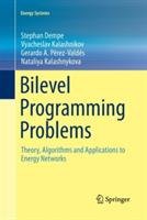 Bilevel Programming Problems: Theory, Algorithms and Applications to Energy Networks - Stephan Dempe,Vyacheslav Kalashnikov,Gerardo A. Pérez-Valdés - cover