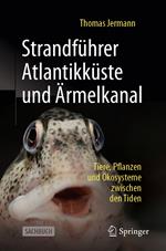 Strandführer Atlantikküste und Ärmelkanal