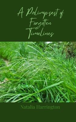 A Palimpsest of Forgotten Timelines - Natalia Harrington - cover