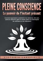 PLEINE CONSCIENCE - Le pouvoir de l'instant présent