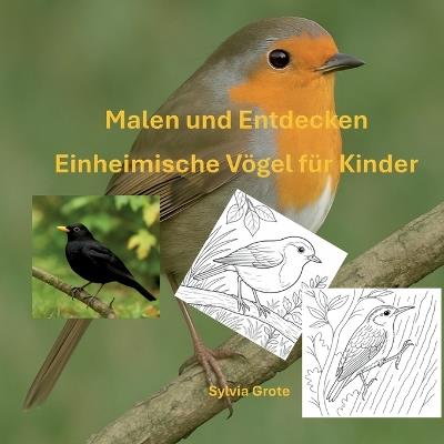 Malen und Entdecken: Einheimische Vögel für Kinder - Sylvia Grote - cover