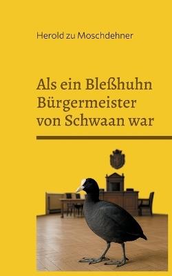 Als ein Bleßhuhn Bürgermeister von Schwaan war: Chronik einer ungewöhnlichen Stadt im Jahr 1919 - Herold Zu Moschdehner - cover