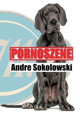 Pornoszene - Andre Sokolowski - cover