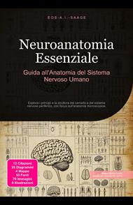 Neuroanatomia Essenziale: Guida all'Anatomia del Sistema Nervoso Umano