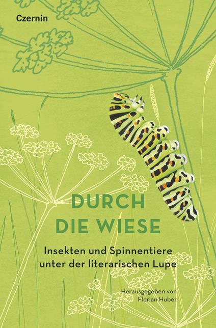 Durch die Wiese - Florian Huber - ebook