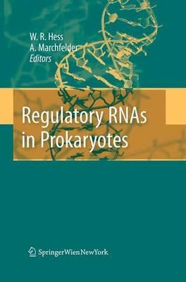 Regulatory RNAs in Prokaryotes - cover