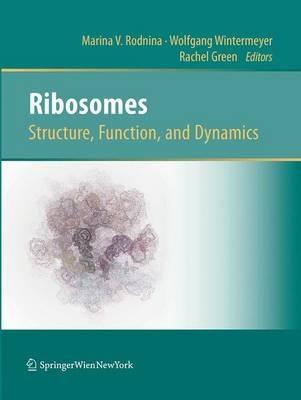 Ribosomes  Structure, Function, and Dynamics - cover