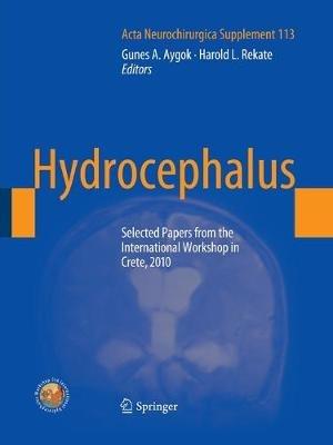 Hydrocephalus: Selected Papers from the International Workshop in Crete, 2010 - cover