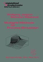 Multigrid Methods for Process Simulation