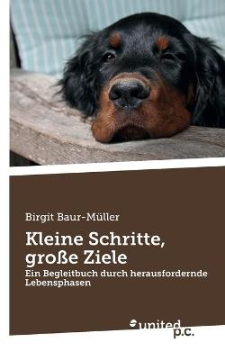 Kleine Schritte, große Ziele: Ein Begleitbuch durch herausfordernde Lebensphasen - Birgit Baur-Müller - cover