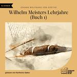 Wilhelm Meisters Lehrjahre (Buch 1)