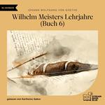 Wilhelm Meisters Lehrjahre (Buch 6)