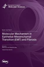Molecular Mechanism in Epithelial-Mesenchymal Transition (EMT) and Fibrosis