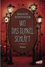 Wo das Dunkel schläft (Band 4)