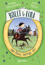 Bulli & Lina (Band 3) - Ein Pony springt ein