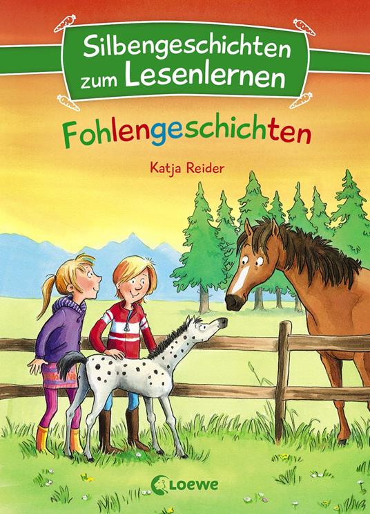 Silbengeschichten zum Lesenlernen - Fohlengeschichten - Katja Reider,Heike Wiechmann - ebook