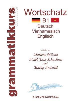 Wörterbuch Deutsch-Vietnamesisch-Englisch Niveau B1: Lernwortschatz + Grammatik + Gutschrift: 20 Unterrichtsstunden per Internet für die Integrations-Deutschkurs-TeilnehmerInnen aus Vietnam Niveau B1 - Marlene Milena Abdel Aziz-Schachner,Marko Anderlic - cover