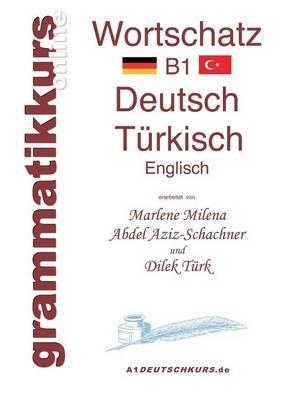Wörterbuch Deutsch - Türkisch - Englisch Niveau B1: Lernwortschatz + Grammatik + Gutschrift: 10 Unterrichtsstunden per Internet für die Integrations-Deutschkurs-TeilnehmerInnen aus der Türkei Niveau B1 - Marlene Milena Abdel Aziz-Schachner,Dilek Türk - cover